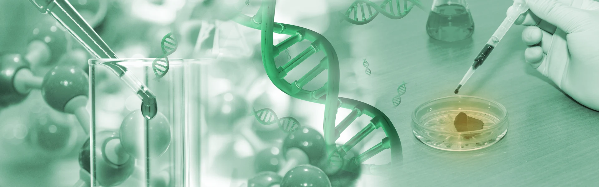 Science and Research